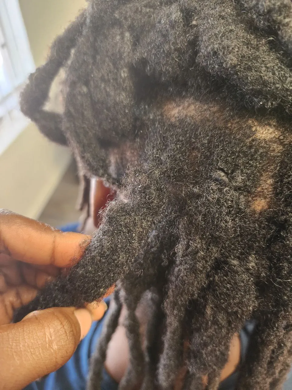 Hair braiding style at Eva's Salon Chandler AZ